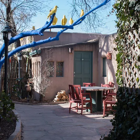 Las Palomas-3